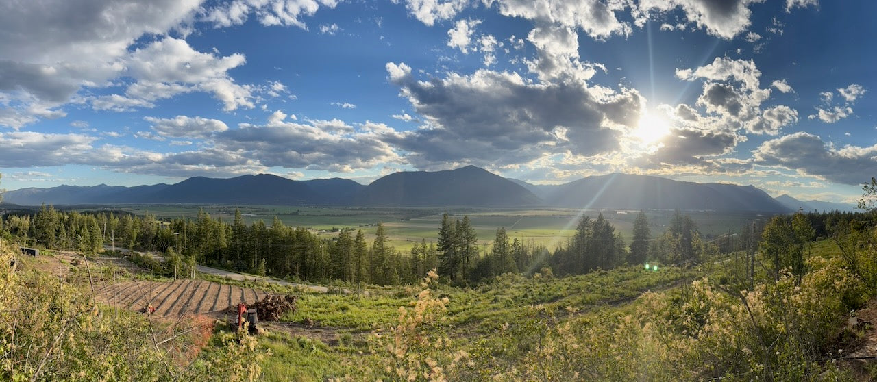 Sanctuary Lavender Creston Valley British Columbia