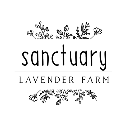 Sanctuary Lavender Farm