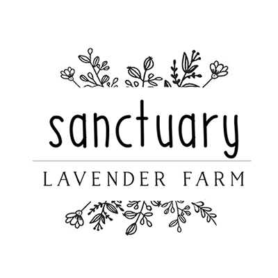 Sanctuary Soy Candle Herb & Vine