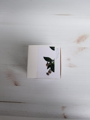 Spirit Flame Soy Candle Grapefruit and Mint Leaf